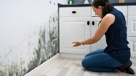 Wall Mold Rescue: Your Ultimate Guide to Prevention and Elimination – pvzxr